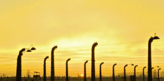 Holocaust var kulminationen på årtusinders had