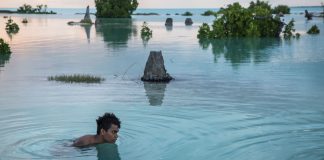 FN’s Menneskerettighedskomité: Nye standarder for asylansøgninger relateret til klimaforandringer