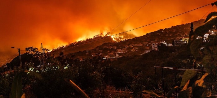 Skovbrand.