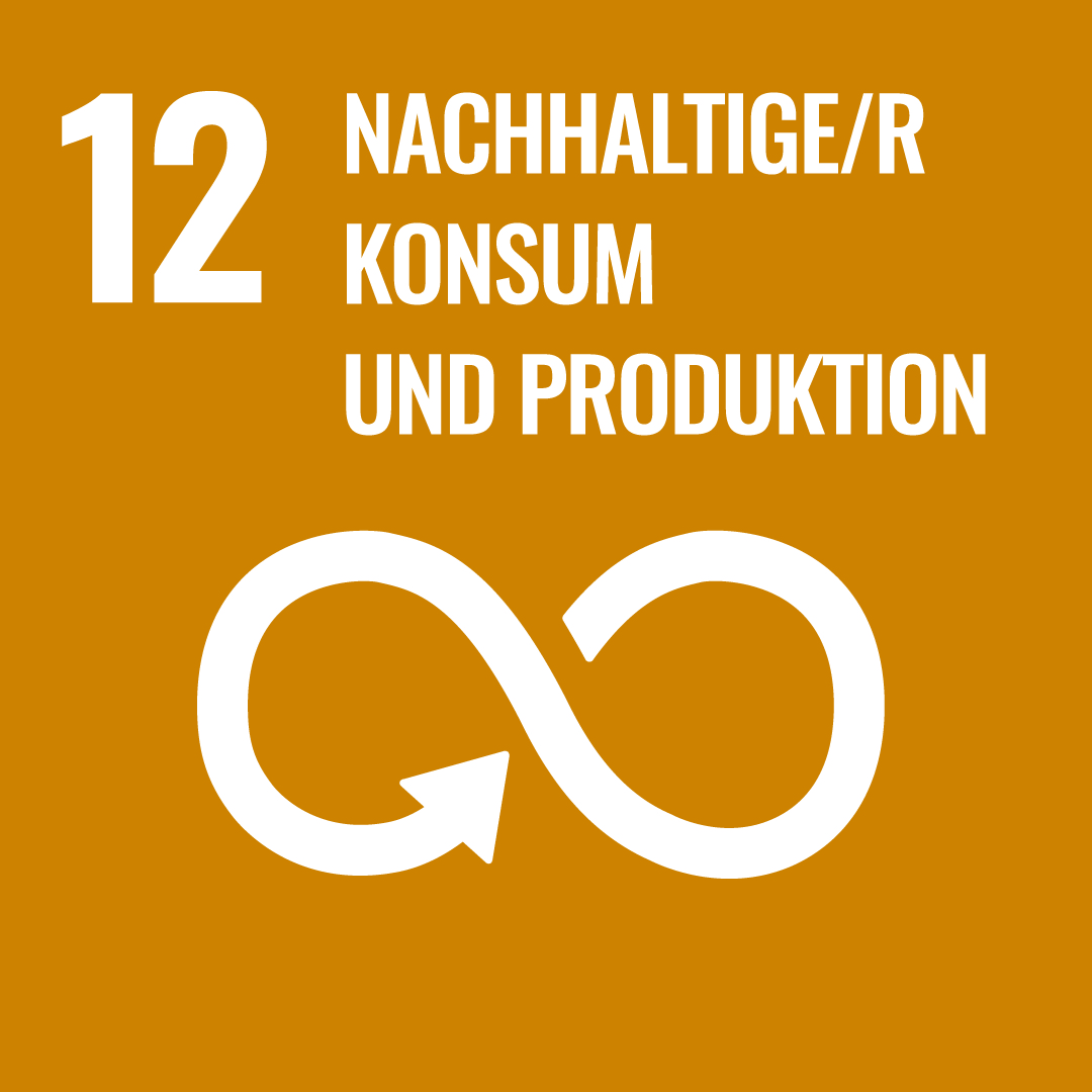 Ziel 12: Nachhaltiger Konsum und Produktion