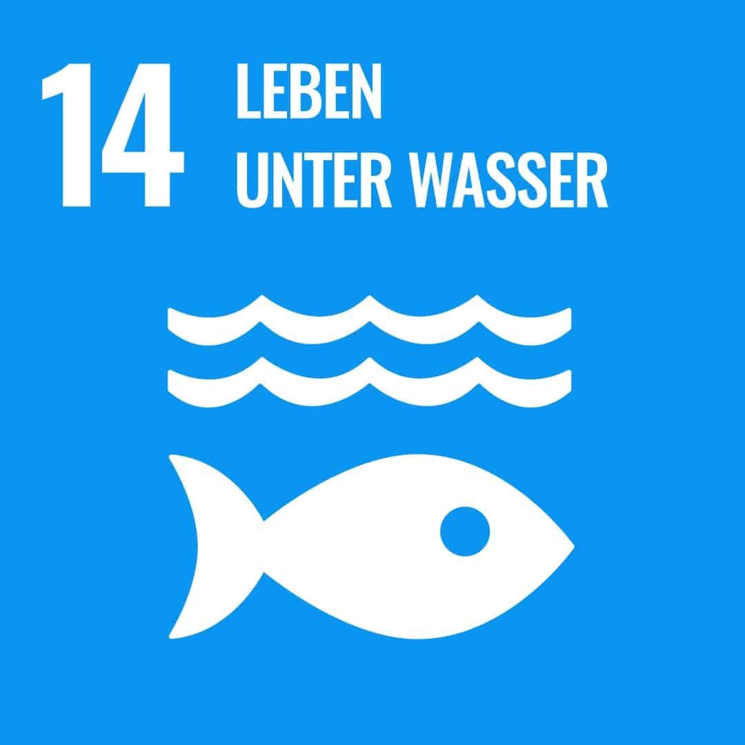 Ziel 14: Leben unter Wasser