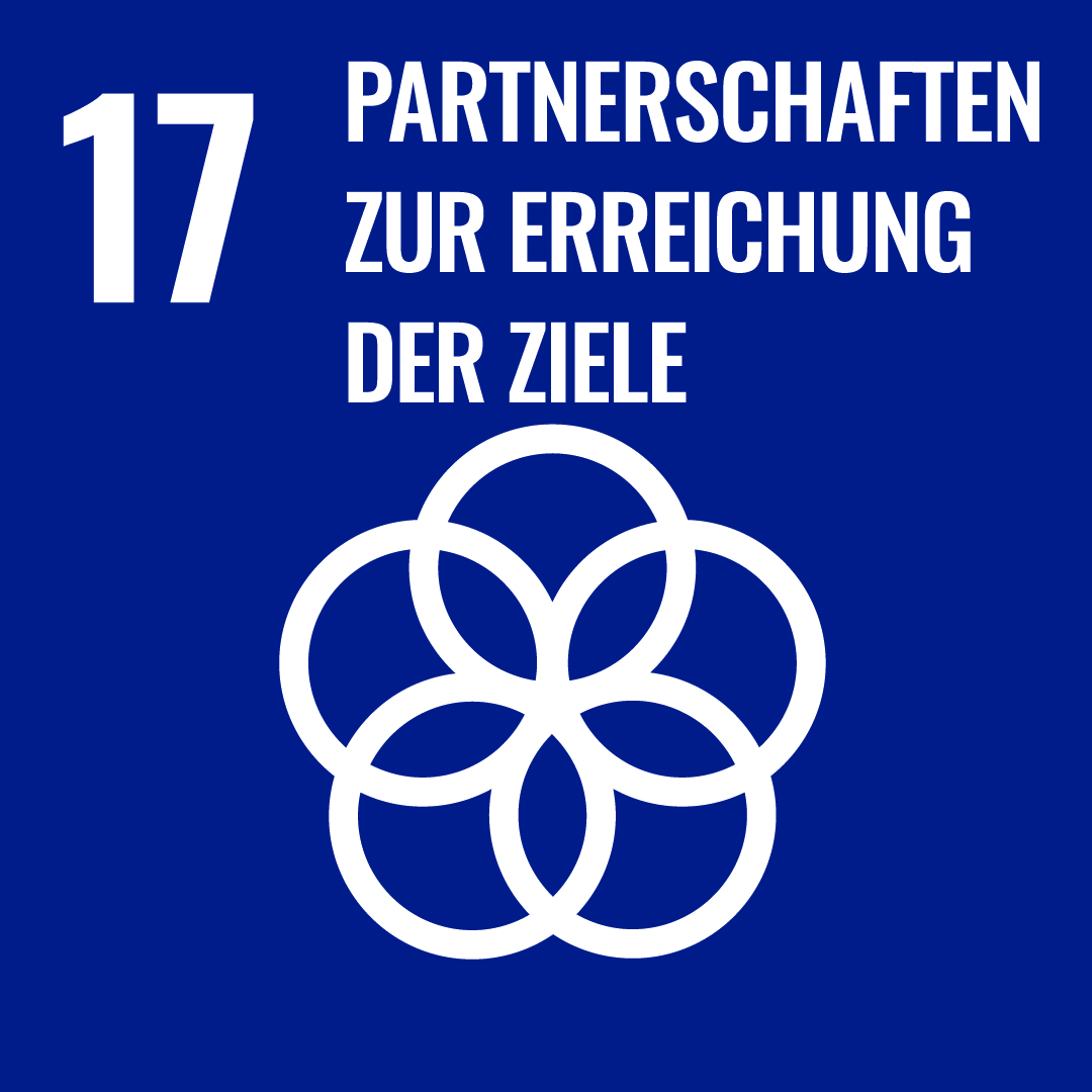 Ziel 17: Partnerschaften zur Erreichung der Ziele