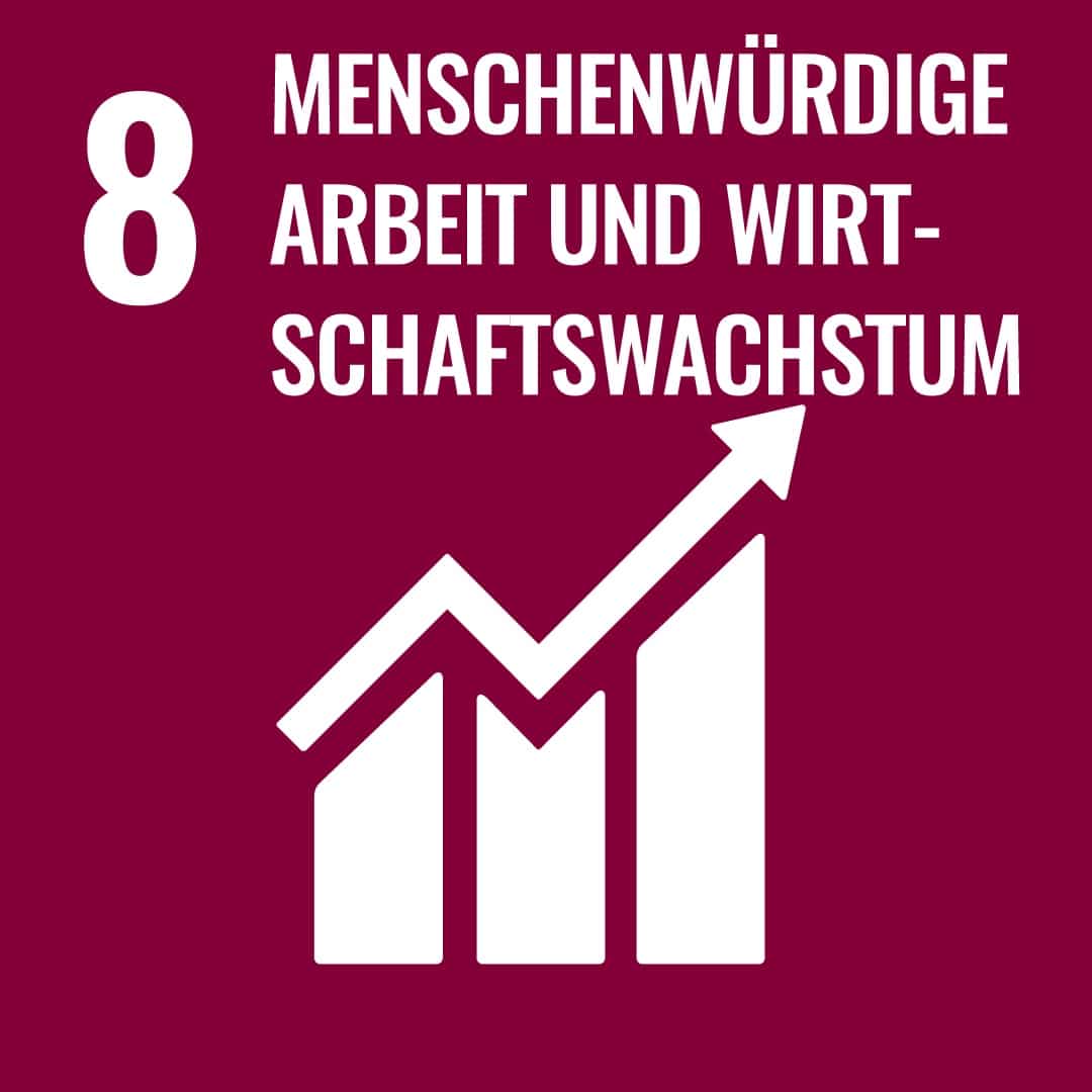 Ziel 8: Menschenwürdige Arbeit und Wirtschaftswachstum
