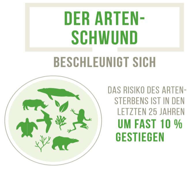 SDG 15 Graphic