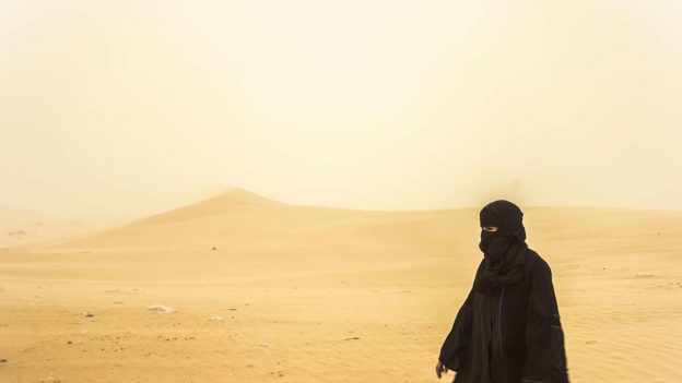 The Poetess I
