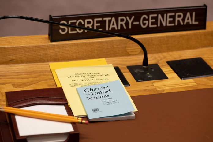 Security Council stills charter