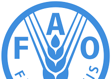 FAO – ΟΡΓΑΝΩΣΗ ΤΡΟΦΙΜΩΝ ΚΑΙ ΓΕΩΡΓΙΑΣ ΤΟΥ ΟΗΕ FAO
