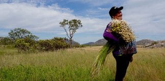Farmers, who gatherer flowers in the Southern Espinhaço Mountain Range in Brazil, enhance biodiversity and preserve traditional knowledge.