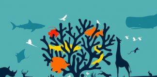 world wildlife day poster