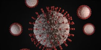 Image of virus | © Viktor Forgacs via Unsplash