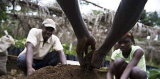 (closed) Glinka World Soil Prize Farmers working the soil by hand