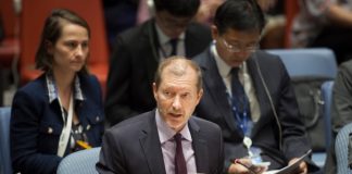 Ambassador Pecsteen of Belgium at UN Security Council