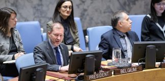UN Photo/Manuel Elías - Security Council considers situation in Yemen