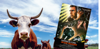 blade runner film with cows