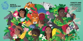 World Wildlife Day poster