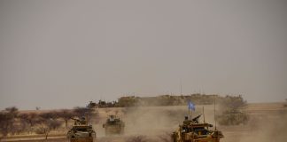 Jackals driving through the desert