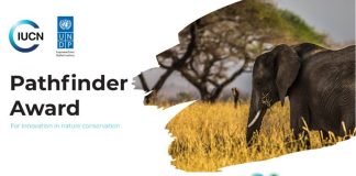 2021 Pathfinder Award banner