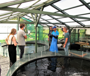 Aquaponics