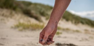 Hand in the sand picking up trash