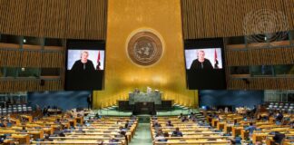 Solberg: We must harness momentum created by triple crises and act