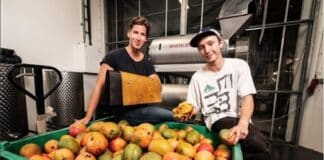 mangoes in crate ready for use, © Marc Blommaert