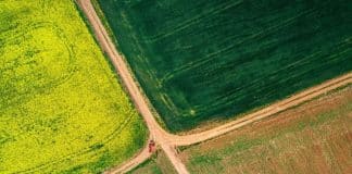 UN Visuals: Agriculture banner