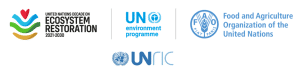Logos of Ciné-ONU's partners for the virtual screening of 'From Devil's Breath'