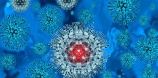 Monkeypox virus