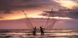 Two fishermen fish with nets on the beach