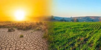 land and drought, UNCCD cartooning competition