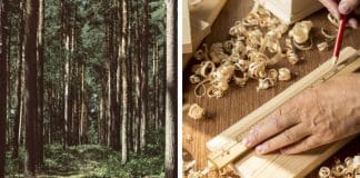 Two photos of a woodland and of woodwork