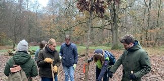 UN and EC staff at Arboretum of Tervuren planting trees
