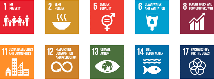 Sustainable Development Goals