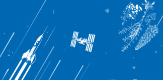 Seeds in Space comic competition, IAEA and FAO