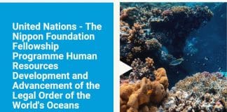United Nations – Nippon Foundation Fellowship promo banner