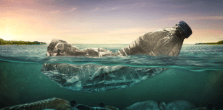 Plastic bottle in the water - plastic pollution