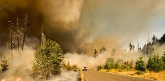 Photo of a vehicle travelling through burning bush fires on the side of the road. © Marcus Kauffman via Unsplash