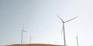 Wind turbines in a field