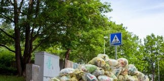 Food Waste in Tübingen. © Photo : Jas Min/Unsplash