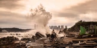 Photographer: Eun Ok Cho (Republic of Korea) Location: Gyeongju, Gyeongsangbuk-do, Republic of Korea Title: Trace of Typhoon