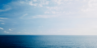 Photo of the Ocean