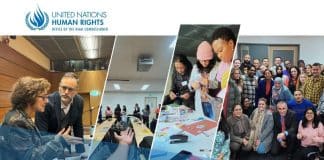 2025 UN Human Rights Minority Fellowship Programme poster