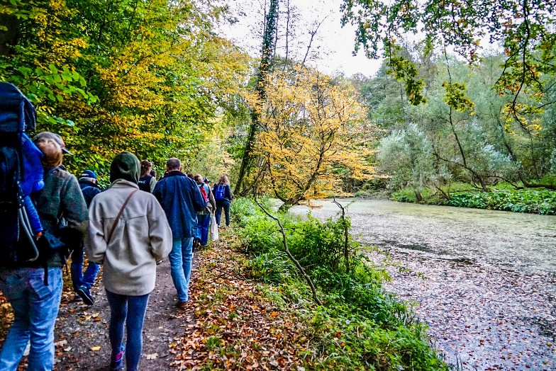 Walkers on the UN Trail in the Sonian Forest