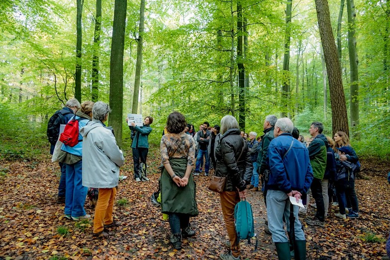 UN Staff listening to explanations