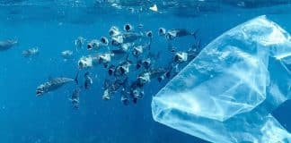 Plastic floating in the ocean