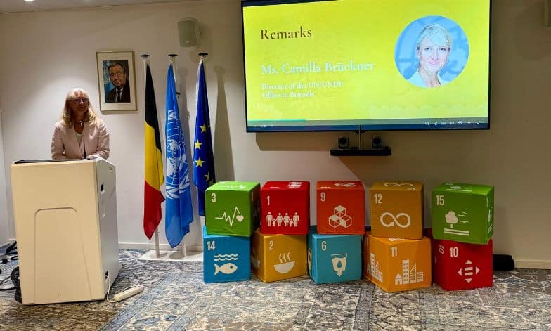 Camilla Bruckner, Director of the UN/UNDP Office in Brussels and Representative of the UN System in the EU, speaking at Day of Vesak event