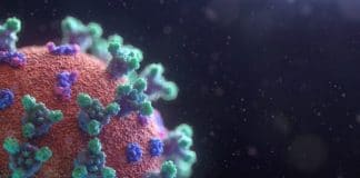 Virus imagen