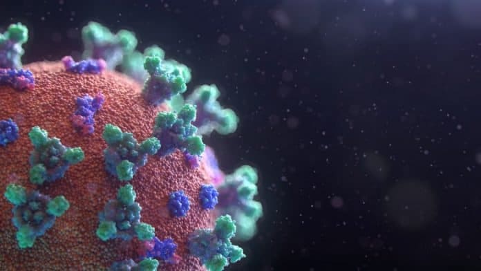 Virus imagen