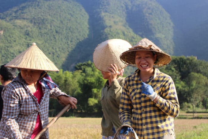Mujeres que trabajan en los arrozales
