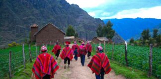 Los peruanos que habitan en los Andes han creado sistemas innovadores de cultivo a gran altitud